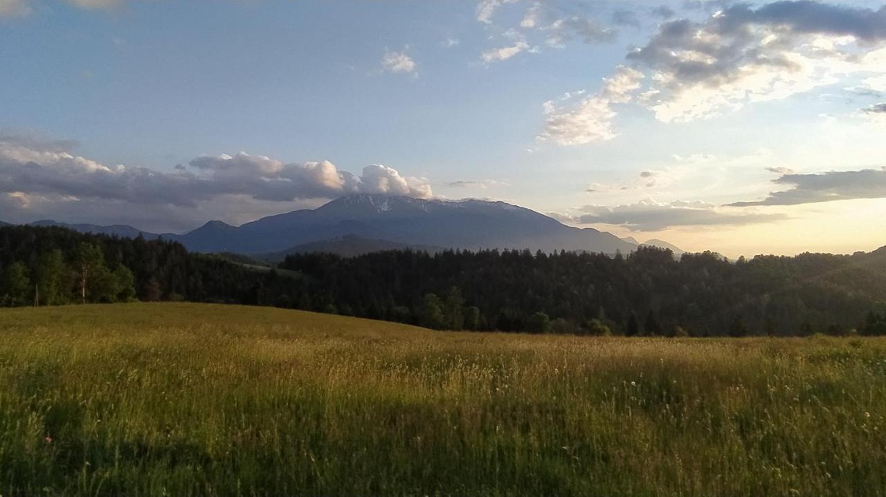 Apartamento Kmetija Pecnik Prevalje Exterior foto
