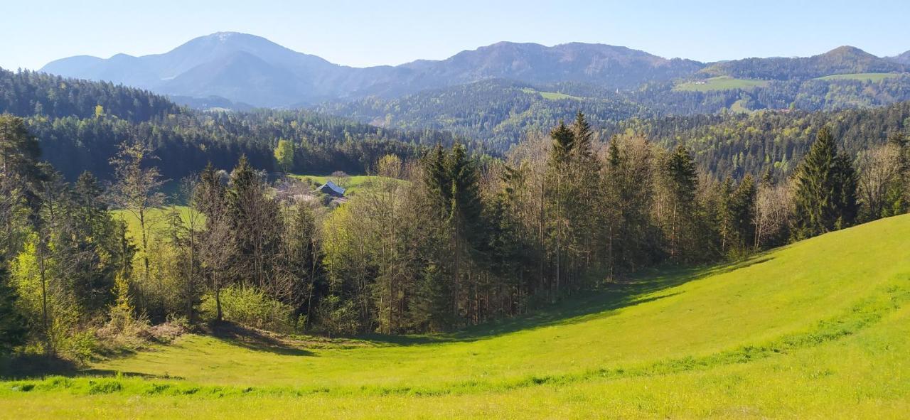Apartamento Kmetija Pecnik Prevalje Exterior foto