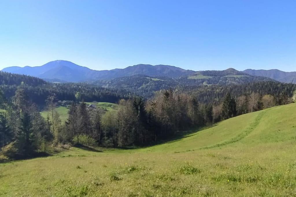 Apartamento Kmetija Pecnik Prevalje Exterior foto